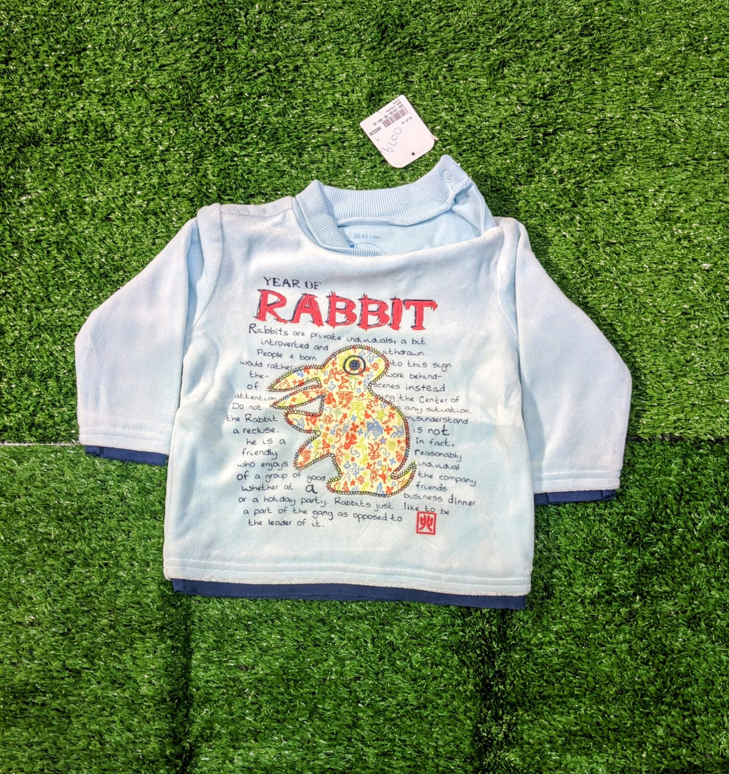 Baby Sweatshirt – Year of the Rabbit Print | Soft Double Cotton Full Sleeve Top | CM0079